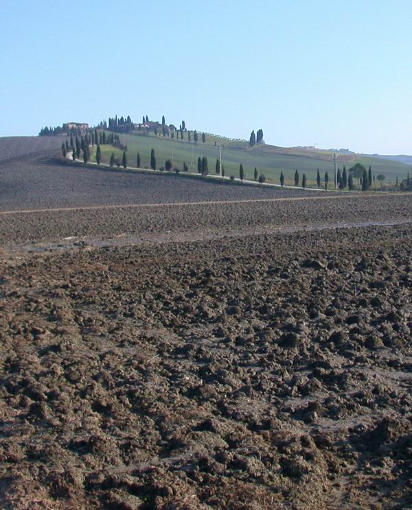 Immagini delle crete senesi....